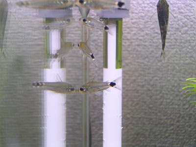 c0095824_23253047.jpg