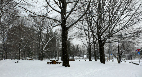 a0046429_19141838.jpg