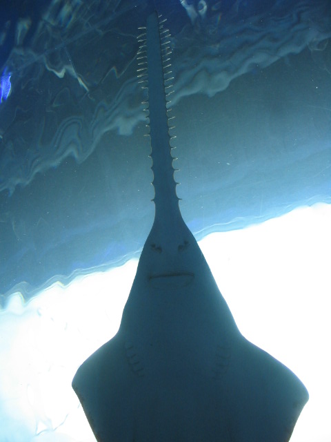 c0086230_21505941.jpg