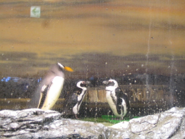 c0086230_2201022.jpg