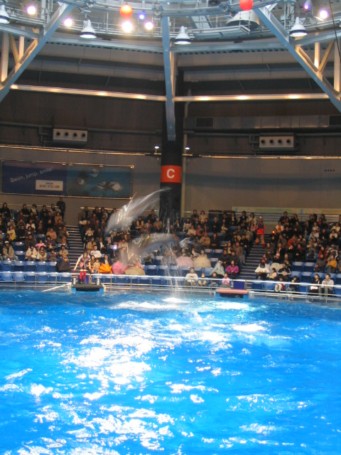 c0086230_226187.jpg