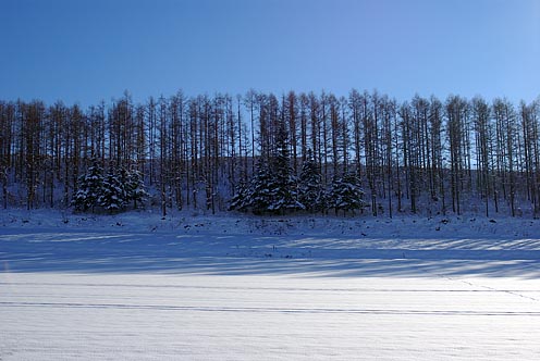 e0025030_16353829.jpg