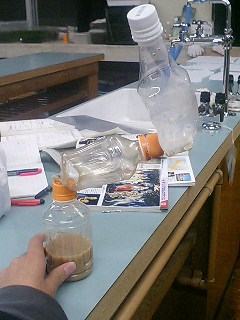 e0018732_1755362.jpg