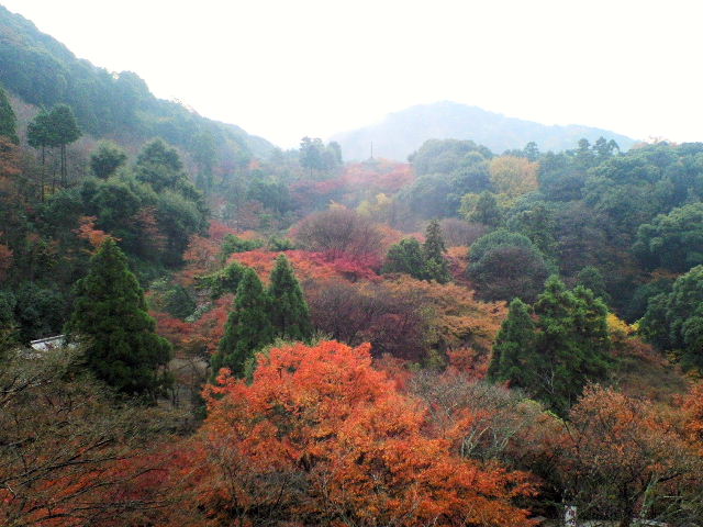 e0064133_034354.jpg