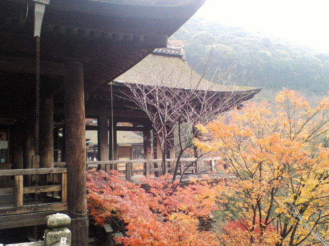 e0064133_051498.jpg