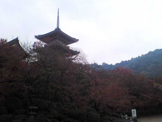 e0064133_07568.jpg