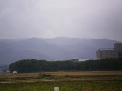 a0055835_17542087.jpg