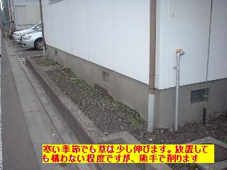 f0031037_20501867.jpg