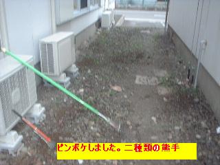 f0031037_20504247.jpg