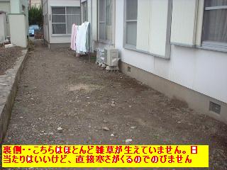f0031037_2051511.jpg