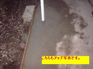 f0031037_2052132.jpg
