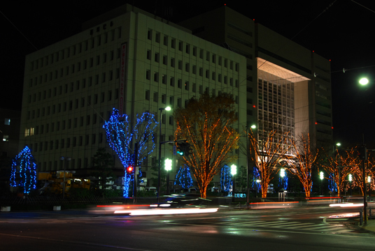 d0016340_04623.jpg