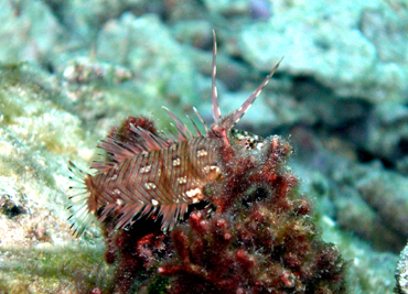 d0065247_2151269.jpg