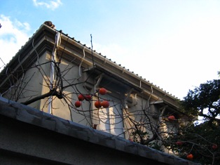 a0094449_2332455.jpg