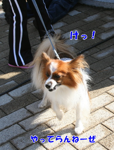 d0013149_015930.jpg
