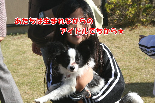 d0013149_081773.jpg