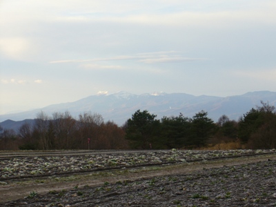 b0045357_8322720.jpg