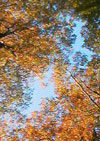 f0072560_12581434.jpg