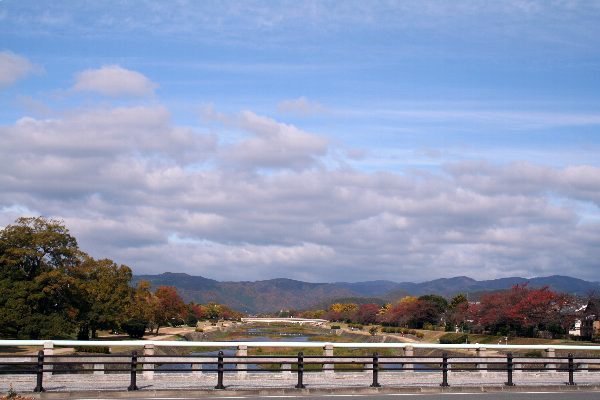 b0087463_20497.jpg