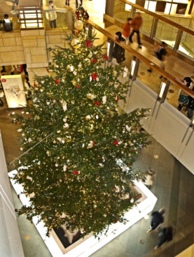 f0107364_835222.jpg