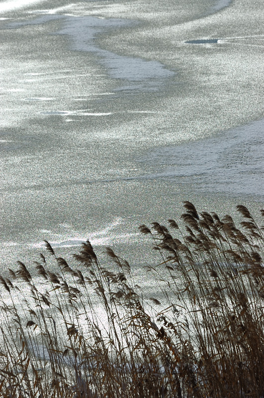 c0084666_18155524.jpg