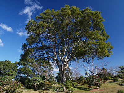 f0052269_22215087.jpg
