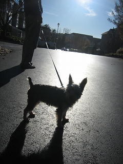 e0015270_13544135.jpg
