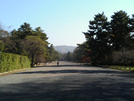 e0025073_14434745.jpg