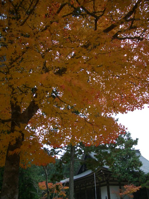 f0089079_134990.jpg