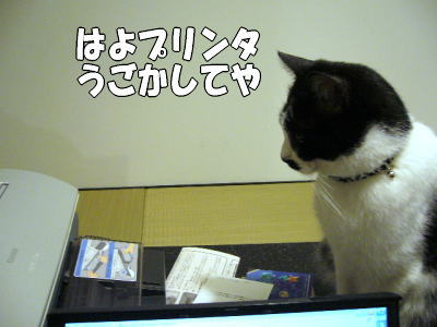 b0041182_21351614.jpg