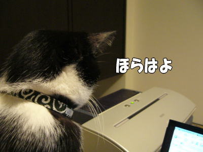 b0041182_2135237.jpg