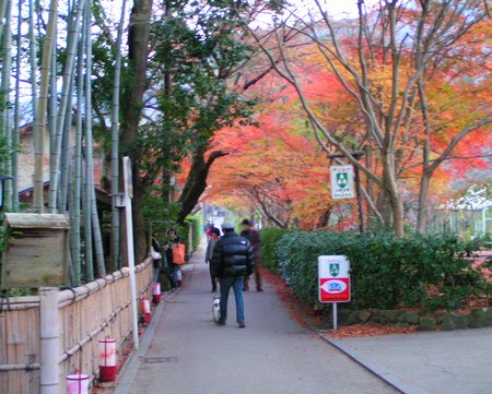 b0002585_1546572.jpg