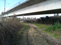 e0105485_19541242.jpg