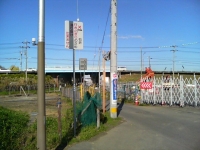 e0105485_20223416.jpg
