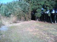e0105485_21493314.jpg