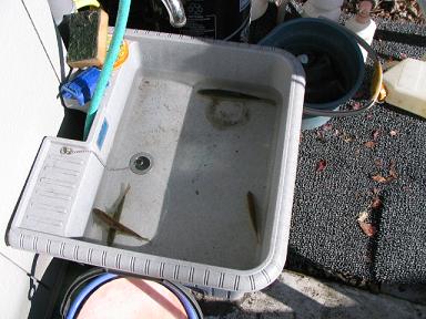 c0009287_2346914.jpg