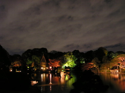 a0019094_1114855.jpg