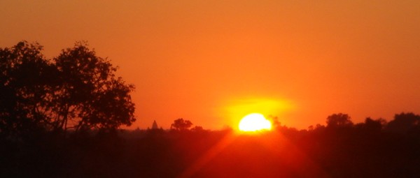 e0007801_1293127.jpg