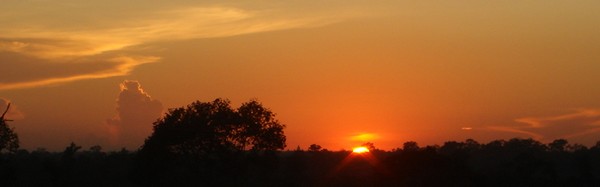 e0007801_1294762.jpg