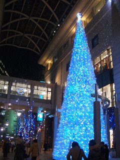 b0061107_0462084.jpg