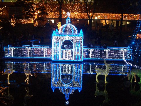 b0061107_0511860.jpg