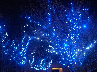 b0061107_0515156.jpg