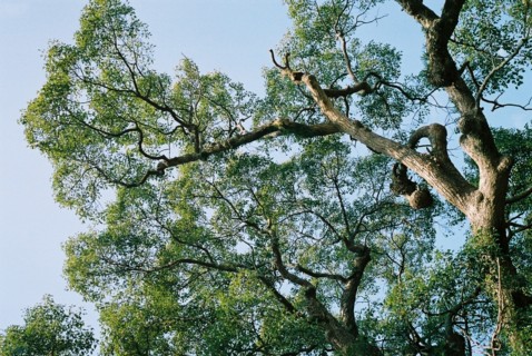 e0002214_23231025.jpg