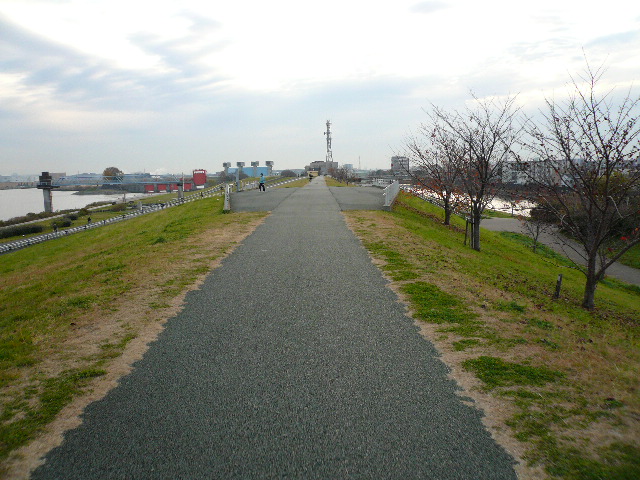 a0077616_912515.jpg