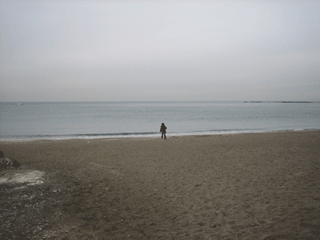 e0080117_225522.gif