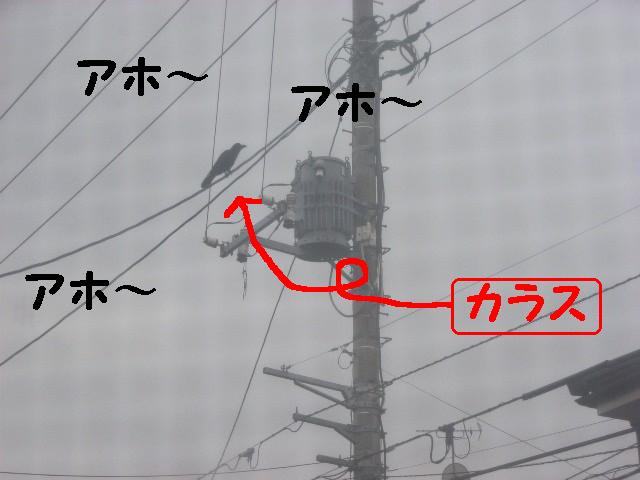 d0081025_1918285.jpg