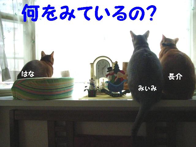 d0081025_1954218.jpg