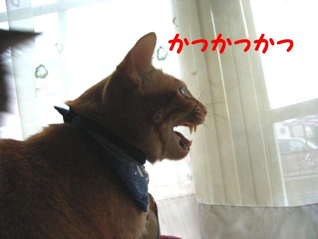 d0081025_198590.jpg