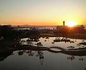 c0051529_1141879.jpg