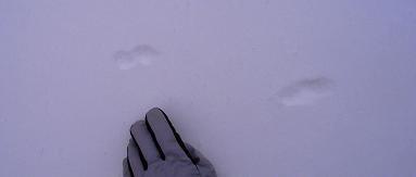 f0118332_20403539.jpg